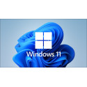 Windows 11 Pro 64 (Dématérialiser / 1 activation)