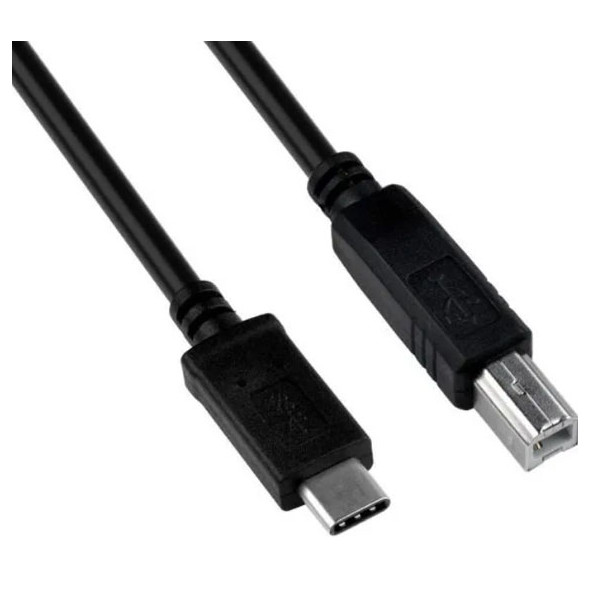 Câble USB Type C / Type B - 1m