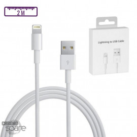 Câble USB vers Lightning compatible iPhone Apple - 2M 12W 2.4A avec boîte - C90