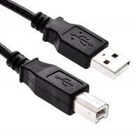 Cable Lindy USB 2.0 type A - B M/M 3m (Gris) - 36684 - 1FO