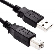 Cable Lindy USB 2.0 type A - B M/M 3m (Gris) - 36684 - 1FO