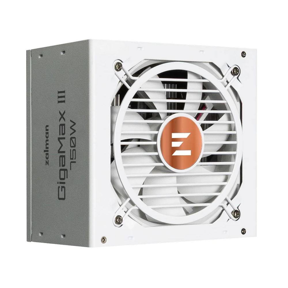 Alimentation ATX Zalman GigaMax III ZM750-GV3 750W (Blanc) - 1026947 - 1FO