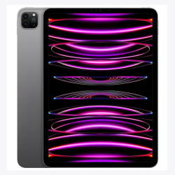 Vitre tactile + Ecran - iPad Pro 11 - 2022 - Réparation