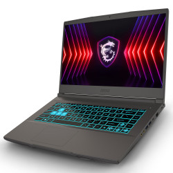 15.6 - MSI THIN B13VE-2266FR (144Hz) - DAR