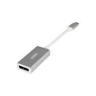 Adaptateur USB-C Urban Factory vers DisplayPort 15cm (Gris) - 1FO