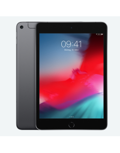 iPad Mini 5 - 2019
