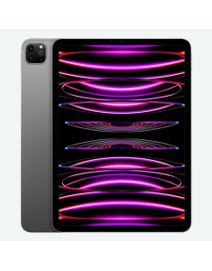 iPad Pro 11 - 2022