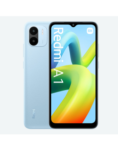 A1