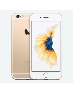 iPhone 6 Plus